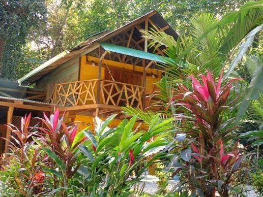 Bed and Breakfast Casa Moabi Коклес Экстерьер фото