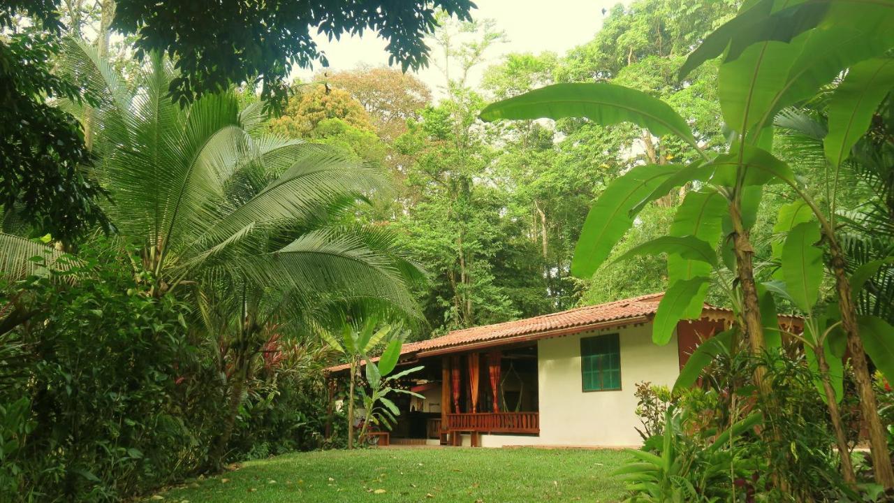 Bed and Breakfast Casa Moabi Коклес Экстерьер фото