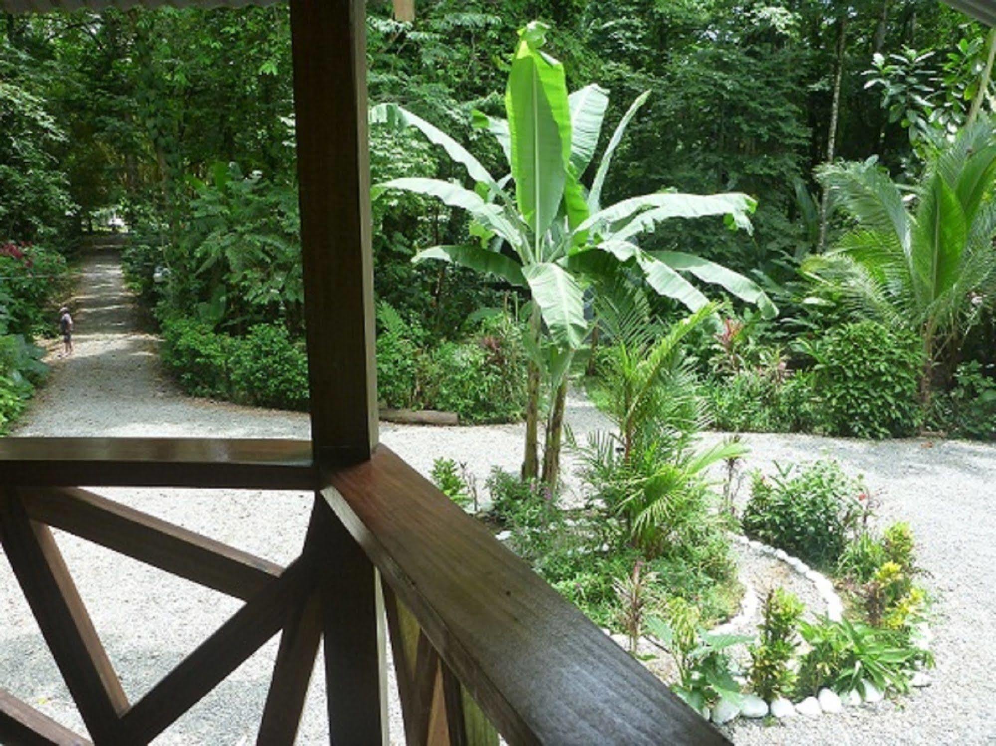 Bed and Breakfast Casa Moabi Коклес Экстерьер фото